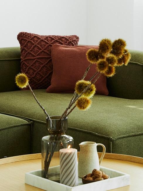 salon vert olive avec plante séchée
