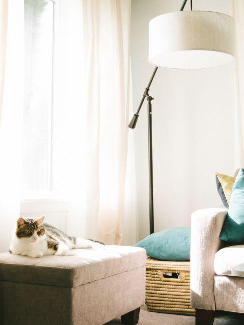 chat sur un pouf, lampadaire, rideaux