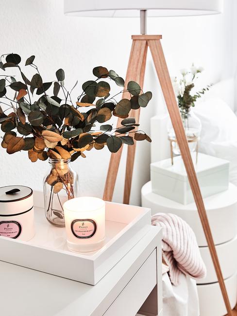 Plante d'intérieur avec bougies parfumées dans un décor blanc