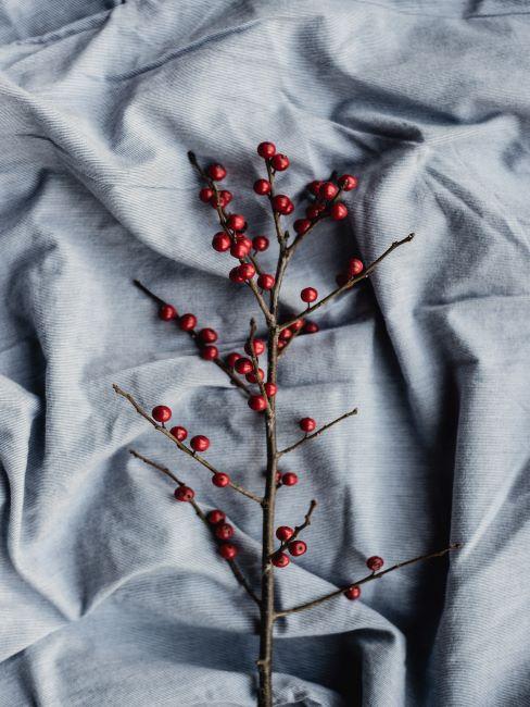 branche en bois avec fruits rouges