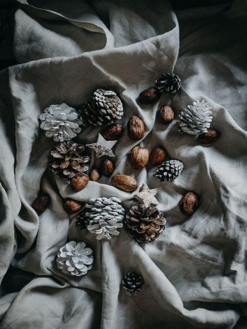 pommes de pin sur une nappe grise