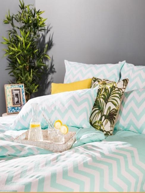 Plante de chambre à coucher dans un coin