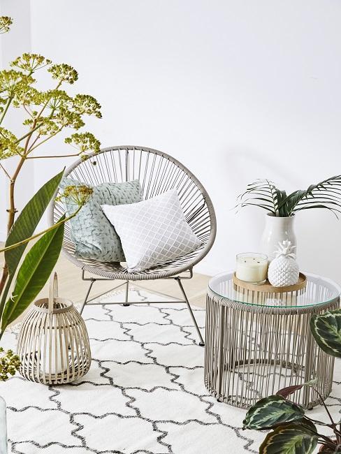 Acapulco gris sur tapis crème entouré de plantes vertes