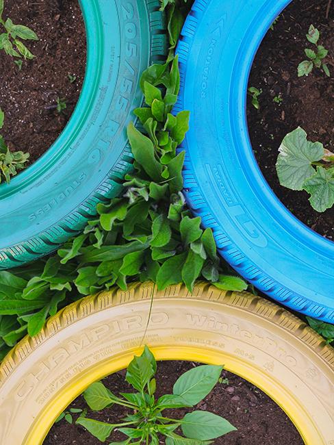 déco de jardin de recup avec pneus repeints et transformés en jardinière