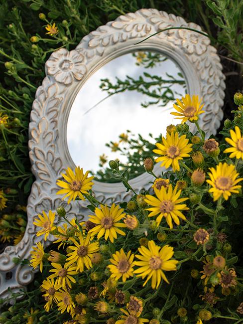 miroir jardin