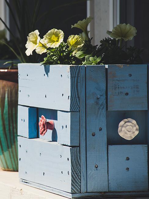 caisse en bois bleue transformée en jardinière