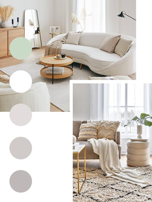 Palette de couleurs blanc ivoire nuances