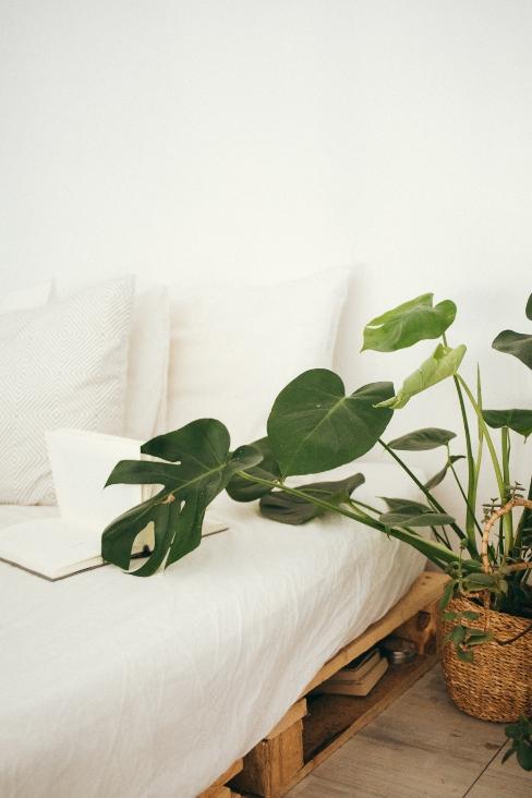 Lit sur palette avec linge blanc et plante verte dans un cache-pot en osier