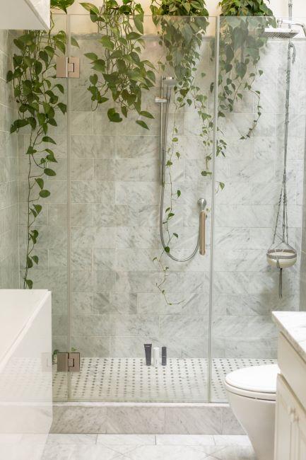 Carrelage pierre gris dans une douche avec plantes vertes