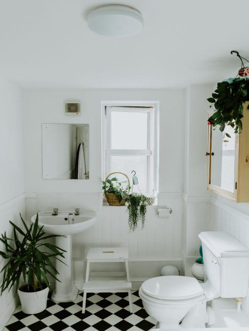 Salle de bain avec carrés de sol blanc noir et plantes tropicales