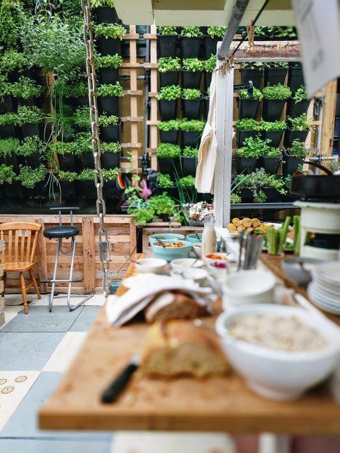 mur des plantes vertes anti pollution