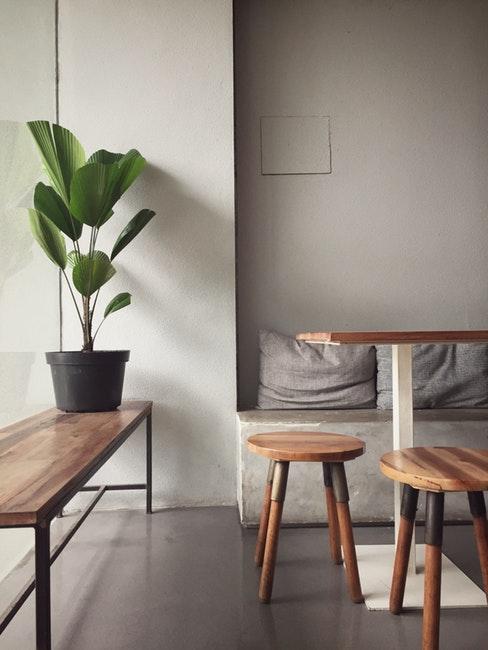 Banc en bois avec plante verte et deux tabourets en bois dans un intérieur gris