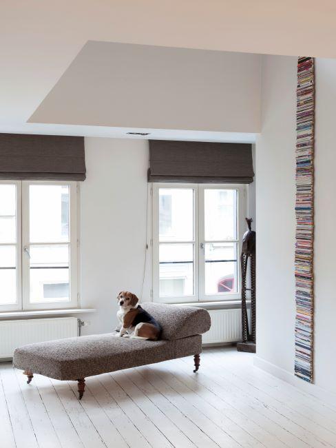 Intérieur épuré avec chien sur méridienne chinée