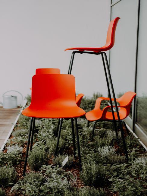 idée pinterest dans le jardin