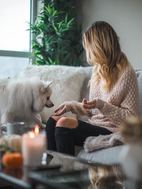 Quarantäne-Frau-mit-Hund-Wohnzimmer-Sofa-Banner femme assise sur un canapé beige et son chien vient près d'elle