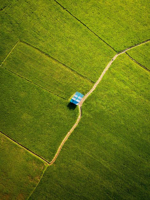 Maison à toit bleu dans un champ vert
