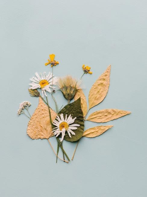 Feuilles et fleurs diverses sur table vert menthe