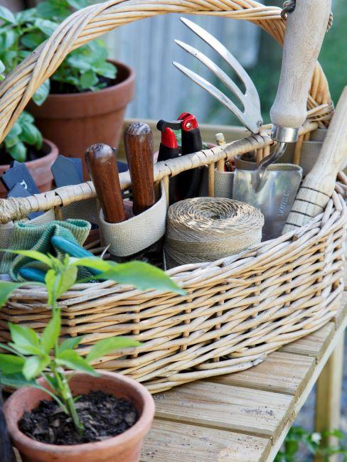 Panier avec des outils et plantes pour faire un potager