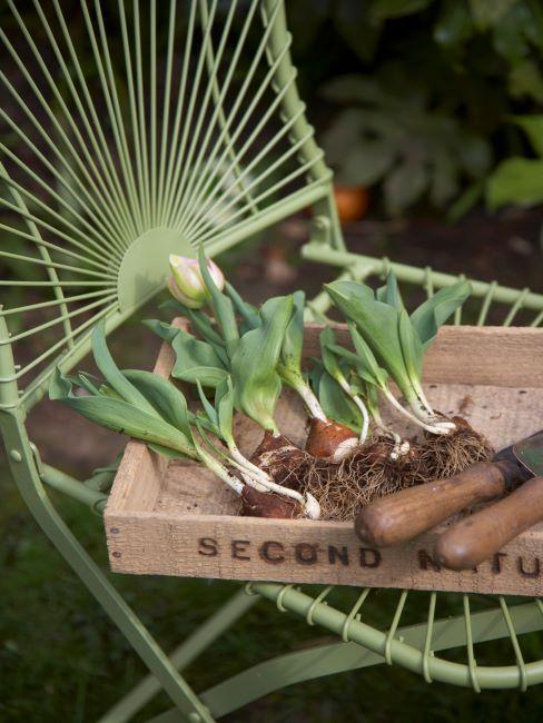 serre de jardin – 3 Chaise de jardin en métal vert