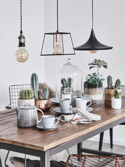 salle à manger avec table en bois et cactus