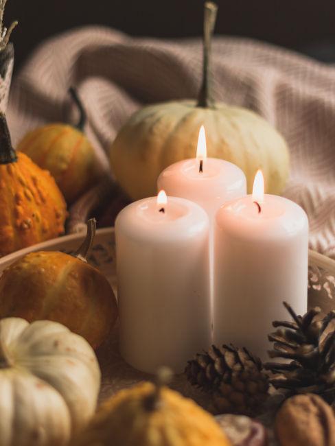 3 bougies blanches au milieu de citrouilles d'halloween