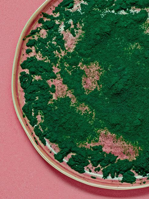 Spiruline en poudre dans une assiette rose