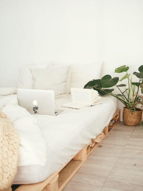 Chambre à coucher avec lit minimaliste avec draps blancs sur palettes, plante verte à côté