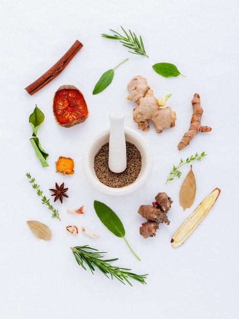gingembre et diverses autres plantes médicinales