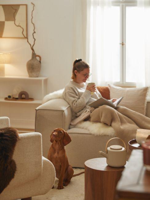 salon cosy ton beige et marron avec chien 2