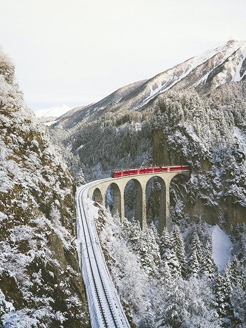 Train sur un viaduc en suisse