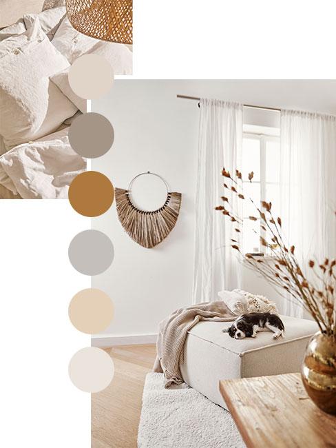 palette des couleurs beige