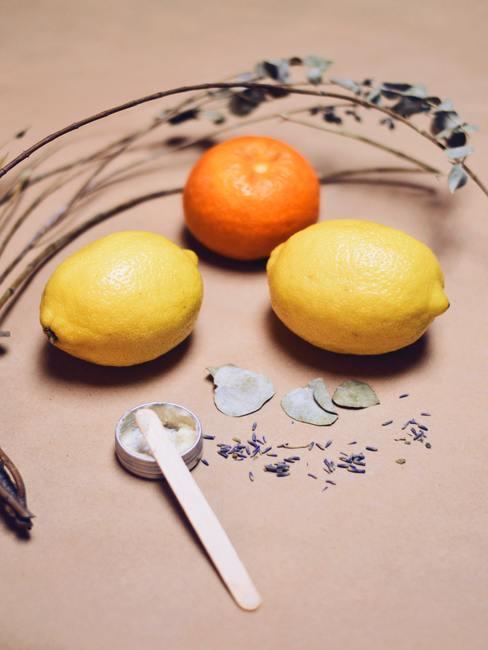deux citrons, une clémentine et quelques tiges de fleurs séchées