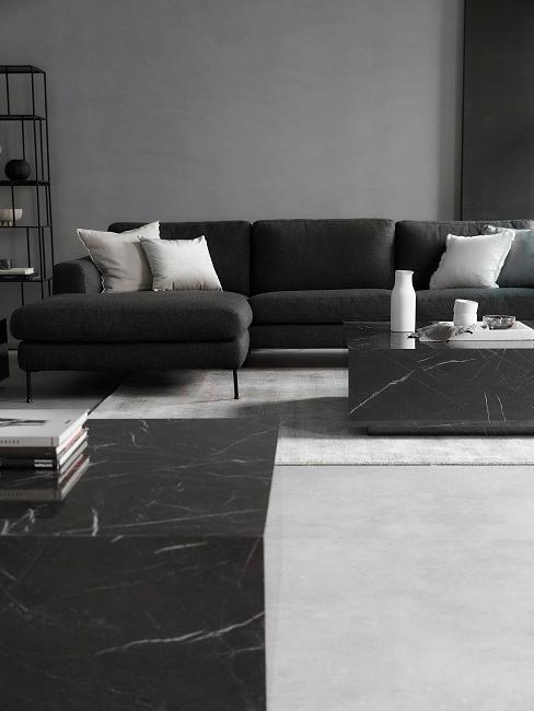 salon noir et gris