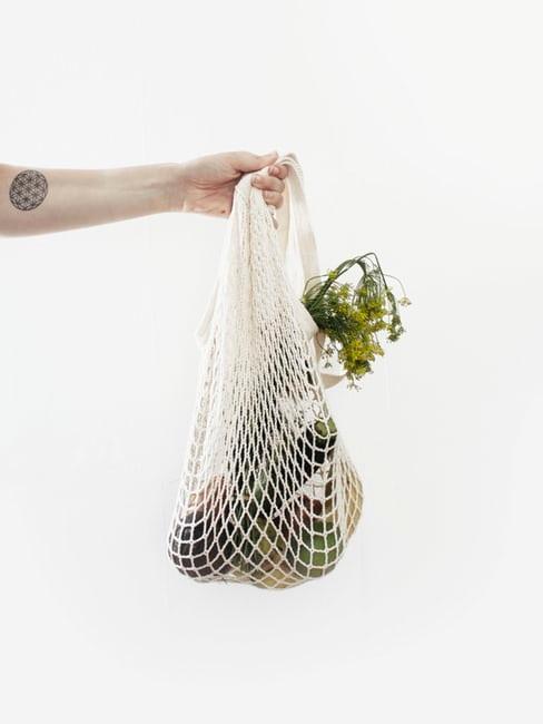 sac de provision écologique avec légumes