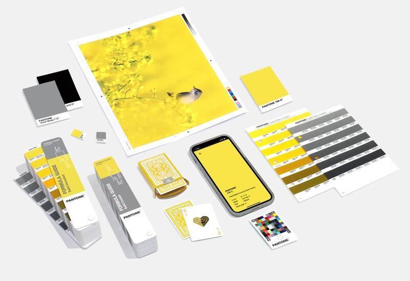 Emsemble d'ogbets : portable, images, avec les couleurs pantone 2021