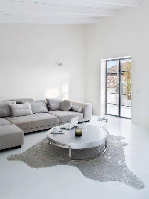 salon moderne minimaliste, salon gris