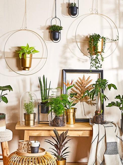 Décoration murale avec des plantes