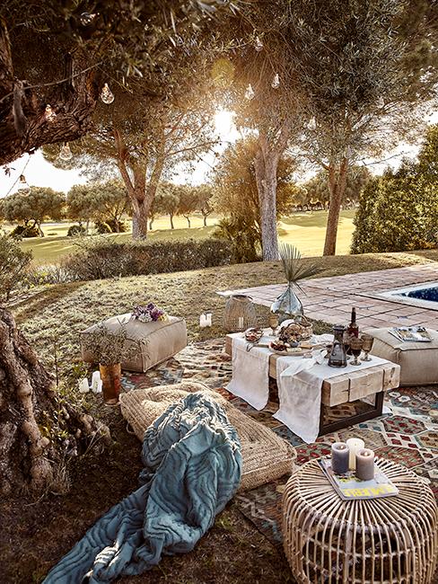 jardin avec salon de jardin en bois