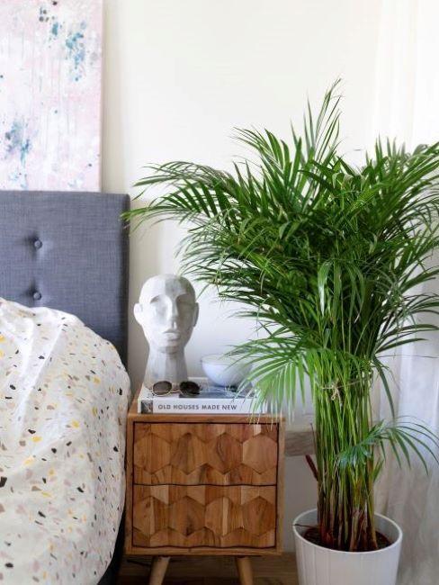 plantes d'intérieur, chambre à coucher tendance
