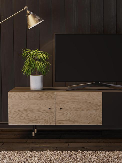 meuble tv en bois avec une plante dessus