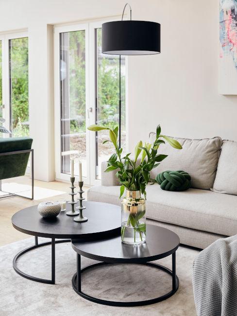 salon moderne avec plantes