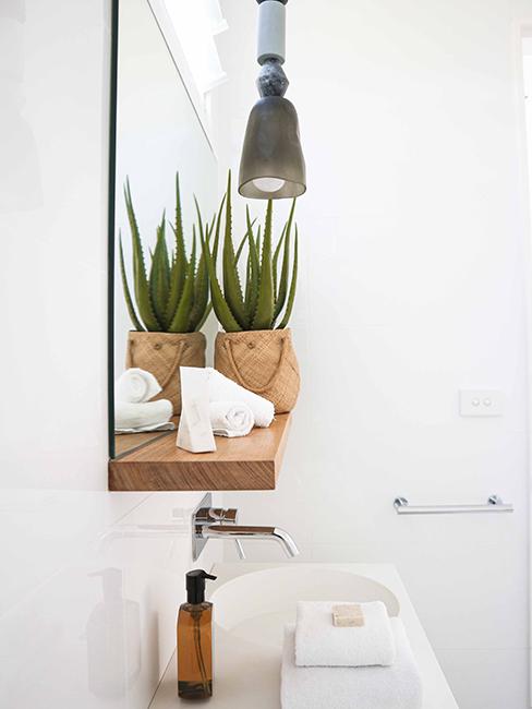 toilette avec étagère en bois et plante