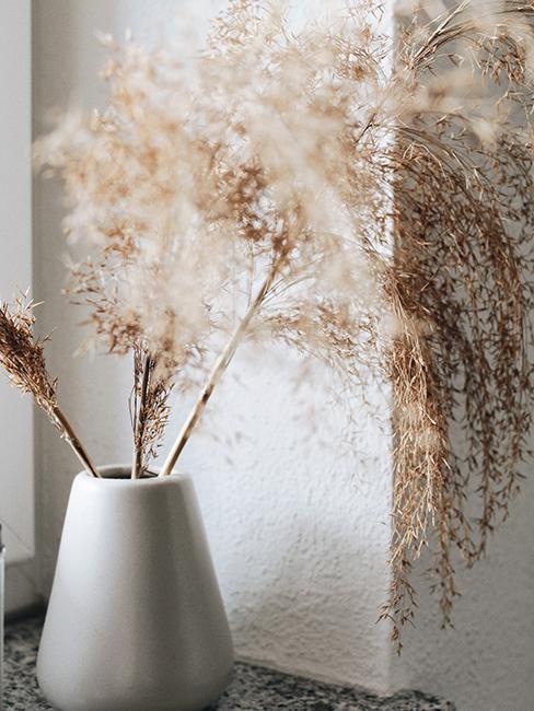 vase avec fleurs de la pampa sur un rebord de fenetre