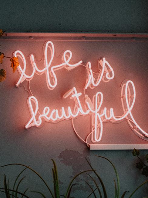 néon rose life is beautiful