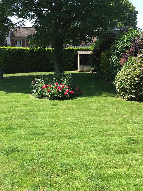 pelouse jardin
