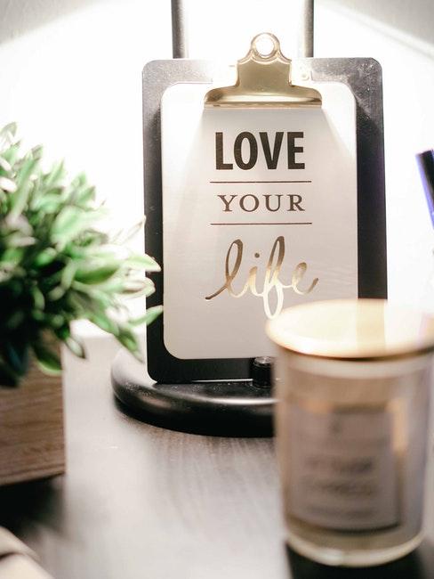 clipboard posé sur le bureau, plante verte