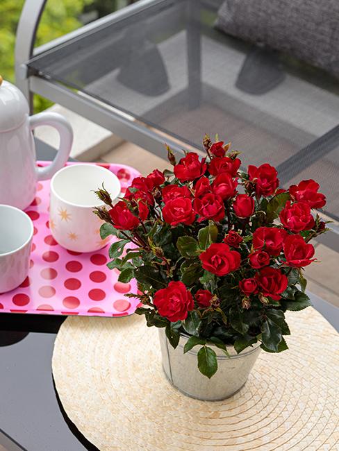 rosier-zepeti-table