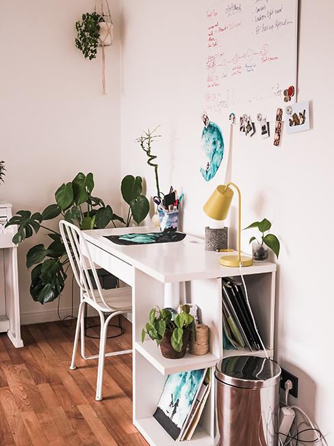 bureau blanc et plantes