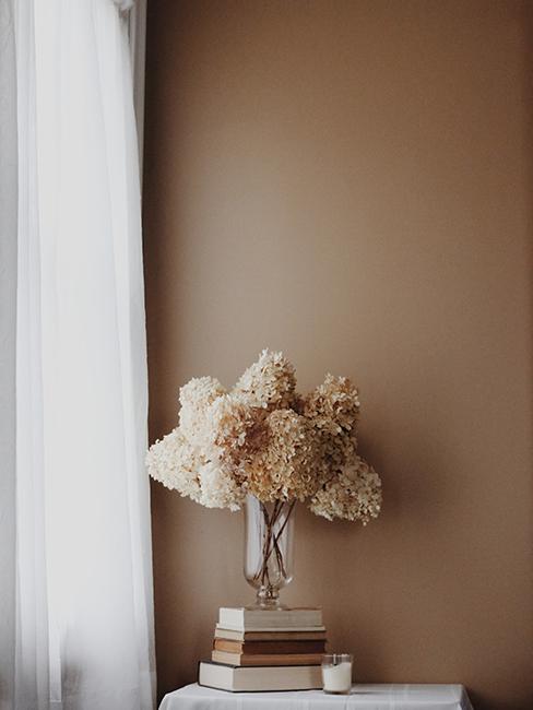 vase avec fleur et mur beige foncé