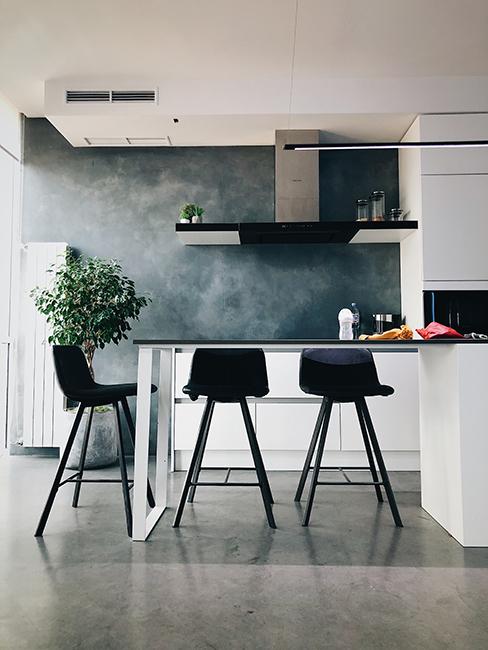 cuisine grise et bois, moderne avec mur gris
